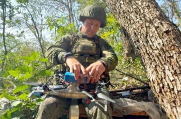 Путь к украинскому "поясу крепостей": Военкор KP.RU Александр Коц посмотрел, как беспилотчики выжигают дорогу пехоте под Дружковкой