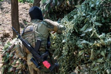 Депутат Колесник заявил о тяжелых потерях ВСУ из-за операции «Вивальди»